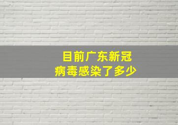 目前广东新冠病毒感染了多少