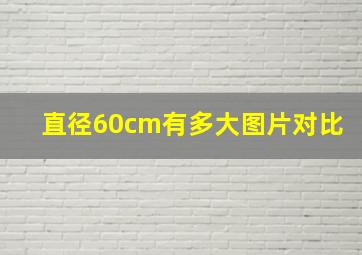 直径60cm有多大图片对比