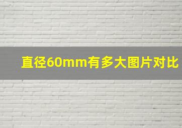 直径60mm有多大图片对比