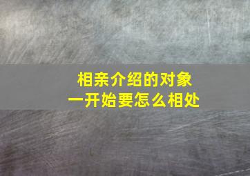 相亲介绍的对象一开始要怎么相处