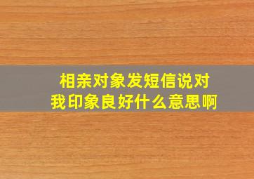 相亲对象发短信说对我印象良好什么意思啊