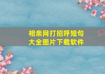 相亲网打招呼短句大全图片下载软件