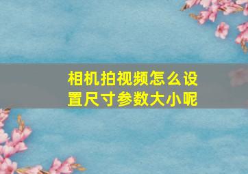 相机拍视频怎么设置尺寸参数大小呢