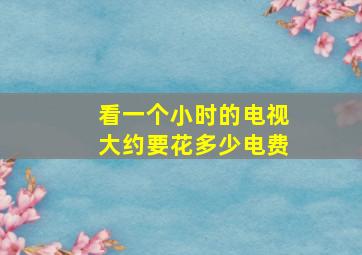 看一个小时的电视大约要花多少电费