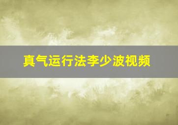 真气运行法李少波视频