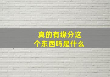 真的有缘分这个东西吗是什么