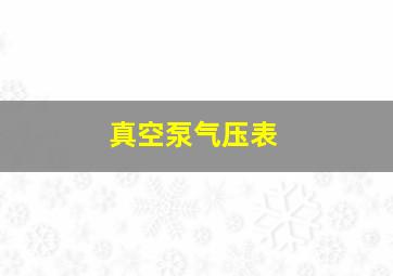 真空泵气压表