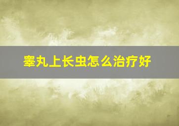 睾丸上长虫怎么治疗好