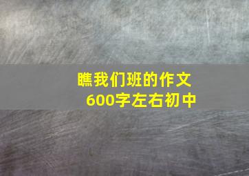 瞧我们班的作文600字左右初中