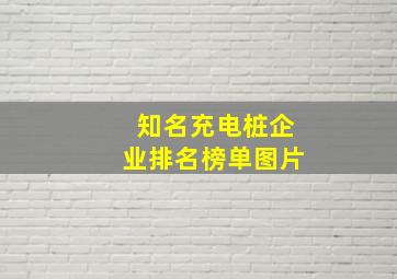 知名充电桩企业排名榜单图片