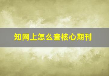 知网上怎么查核心期刊