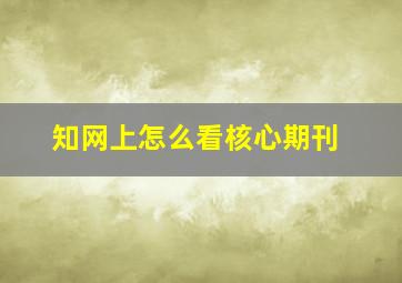 知网上怎么看核心期刊