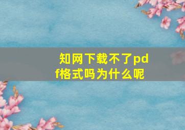 知网下载不了pdf格式吗为什么呢