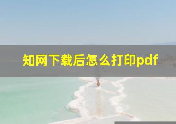 知网下载后怎么打印pdf