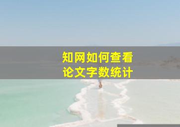 知网如何查看论文字数统计