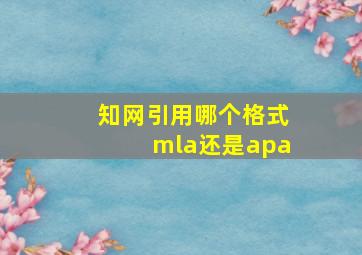 知网引用哪个格式mla还是apa