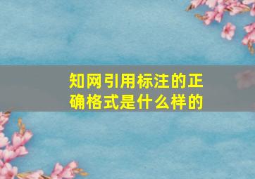 知网引用标注的正确格式是什么样的