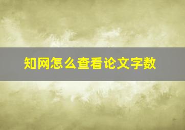 知网怎么查看论文字数