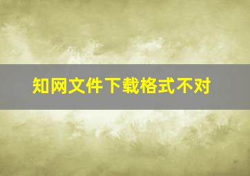 知网文件下载格式不对