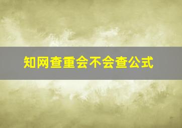 知网查重会不会查公式