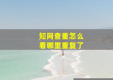 知网查重怎么看哪里重复了