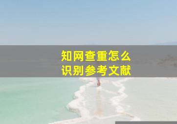 知网查重怎么识别参考文献