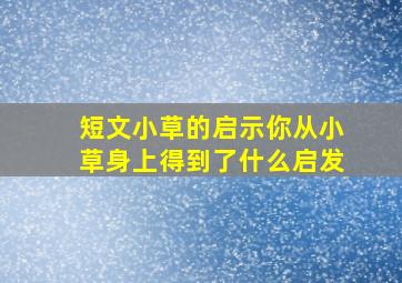 短文小草的启示你从小草身上得到了什么启发