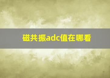 磁共振adc值在哪看