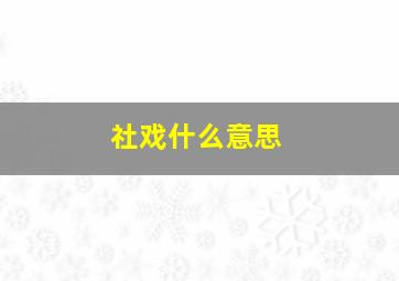 社戏什么意思