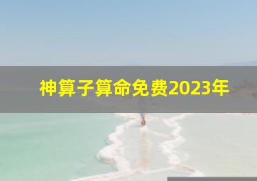 神算子算命免费2023年