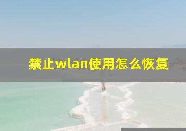 禁止wlan使用怎么恢复