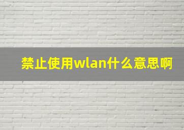 禁止使用wlan什么意思啊