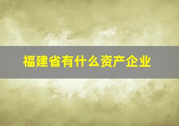 福建省有什么资产企业