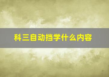 科三自动挡学什么内容