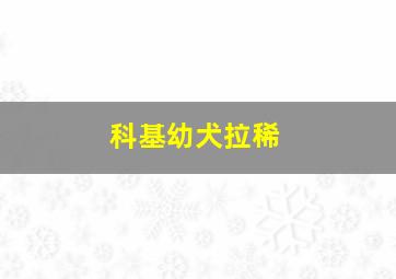 科基幼犬拉稀