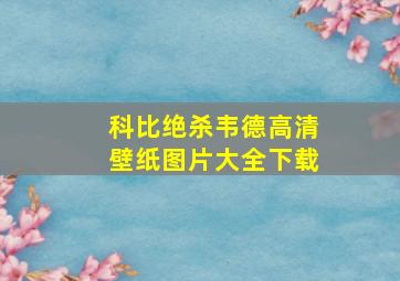 科比绝杀韦德高清壁纸图片大全下载