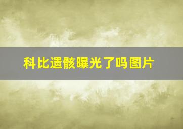 科比遗骸曝光了吗图片