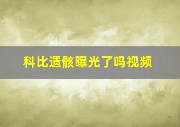 科比遗骸曝光了吗视频