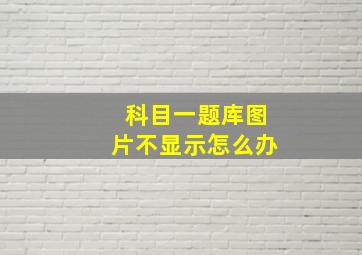 科目一题库图片不显示怎么办