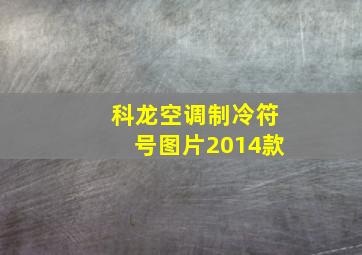 科龙空调制冷符号图片2014款