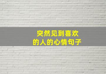 突然见到喜欢的人的心情句子