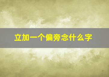 立加一个偏旁念什么字