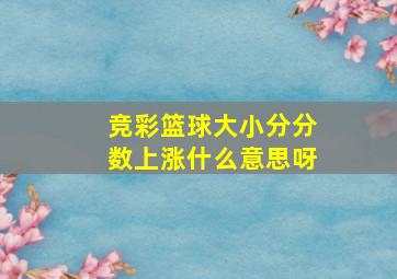 竞彩篮球大小分分数上涨什么意思呀