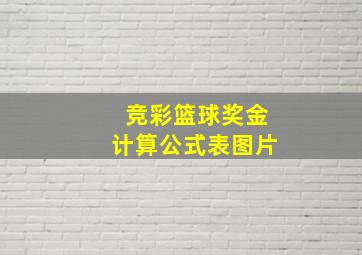 竞彩篮球奖金计算公式表图片