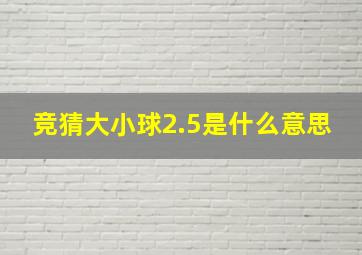 竞猜大小球2.5是什么意思