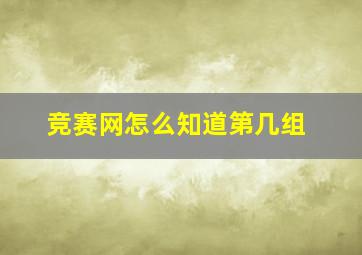 竞赛网怎么知道第几组