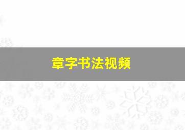 章字书法视频