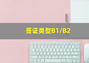 签证类型B1/B2