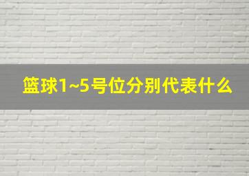 篮球1~5号位分别代表什么