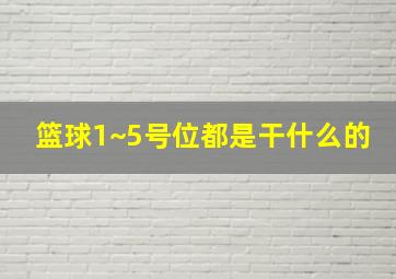 篮球1~5号位都是干什么的